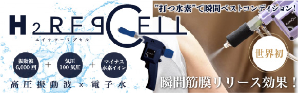 H2リプセル