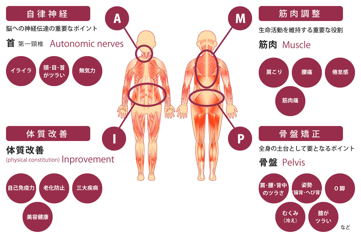 自律神経・筋肉調整・骨盤矯正でAMPIバランス
