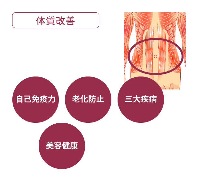 体質改善に役立つ筋肉の機能と効果を示す図