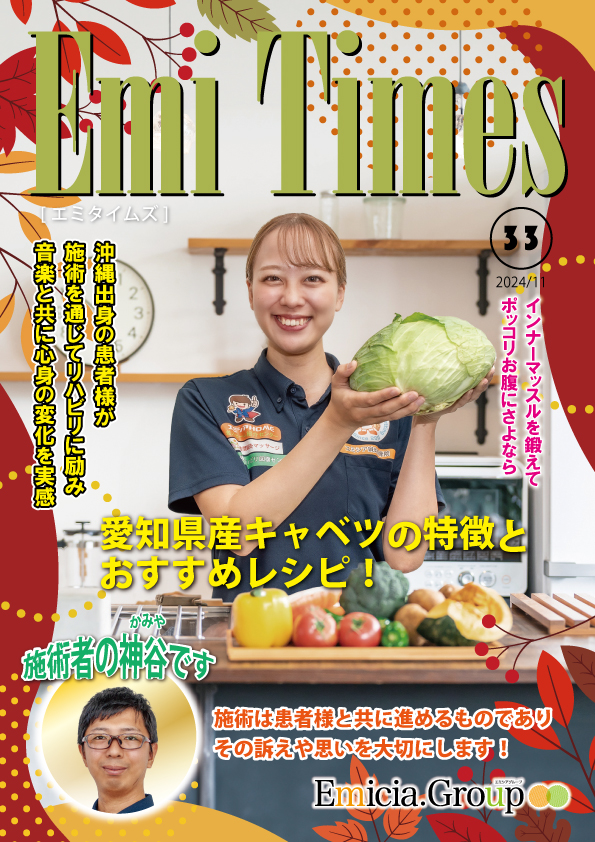エミタイムズVol.33のPDFダウンロード案内